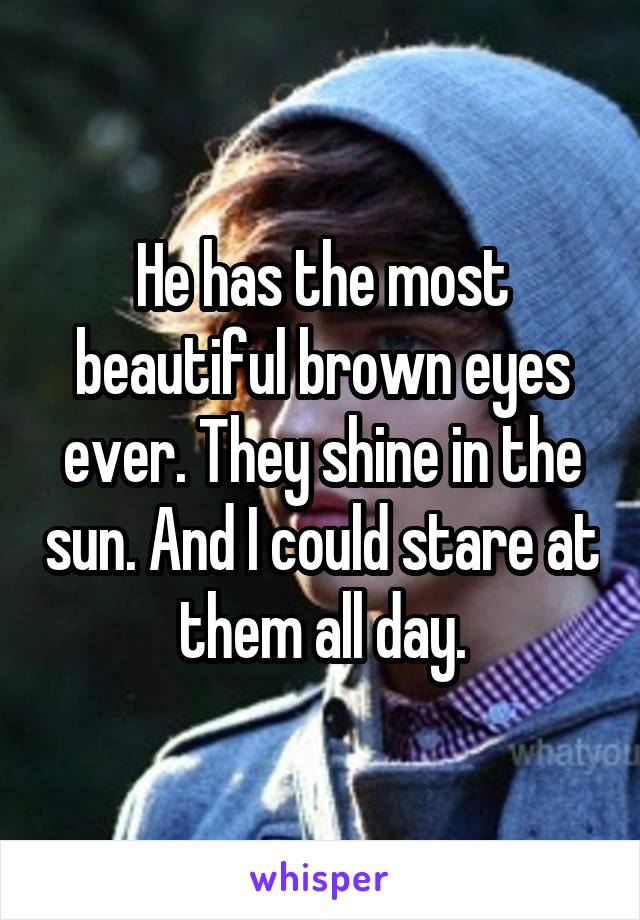 He has the most beautiful brown eyes ever. They shine in the sun. And I could stare at them all day.