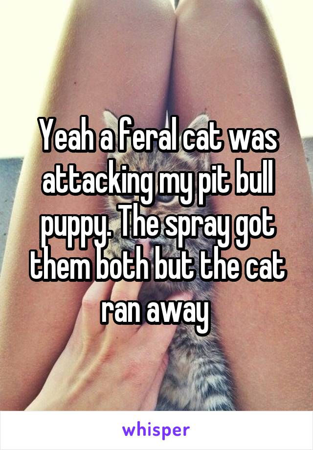 Yeah a feral cat was attacking my pit bull puppy. The spray got them both but the cat ran away 
