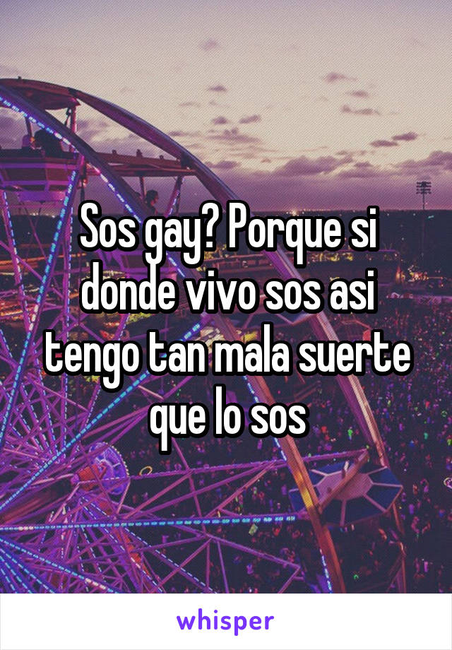 Sos gay? Porque si donde vivo sos asi tengo tan mala suerte que lo sos