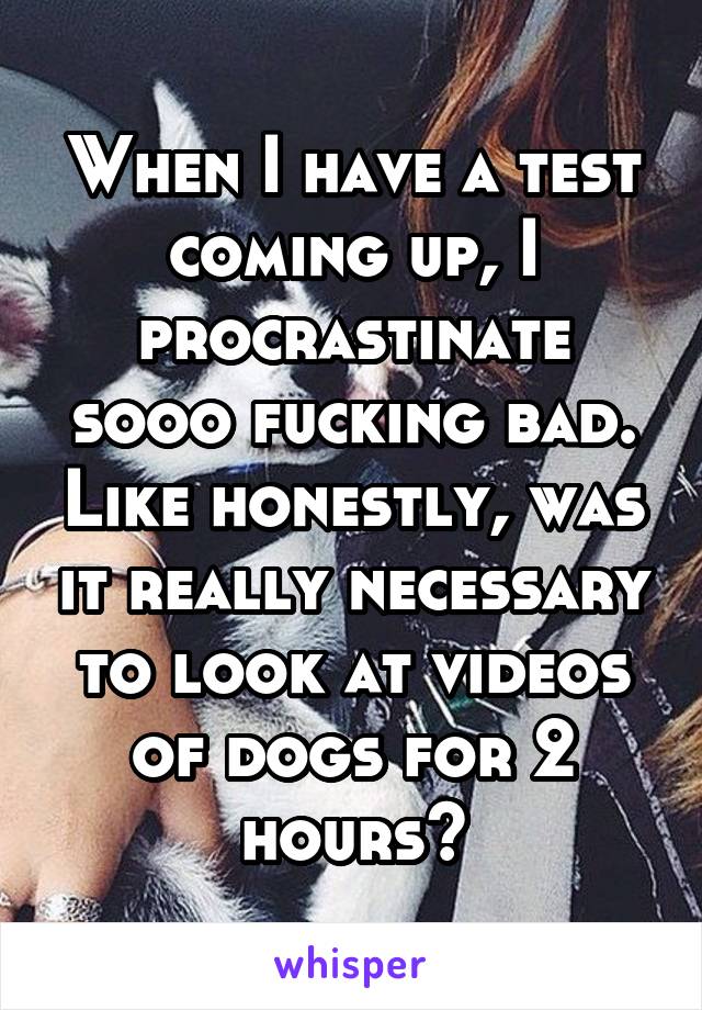 When I have a test coming up, I procrastinate sooo fucking bad. Like honestly, was it really necessary to look at videos of dogs for 2 hours?