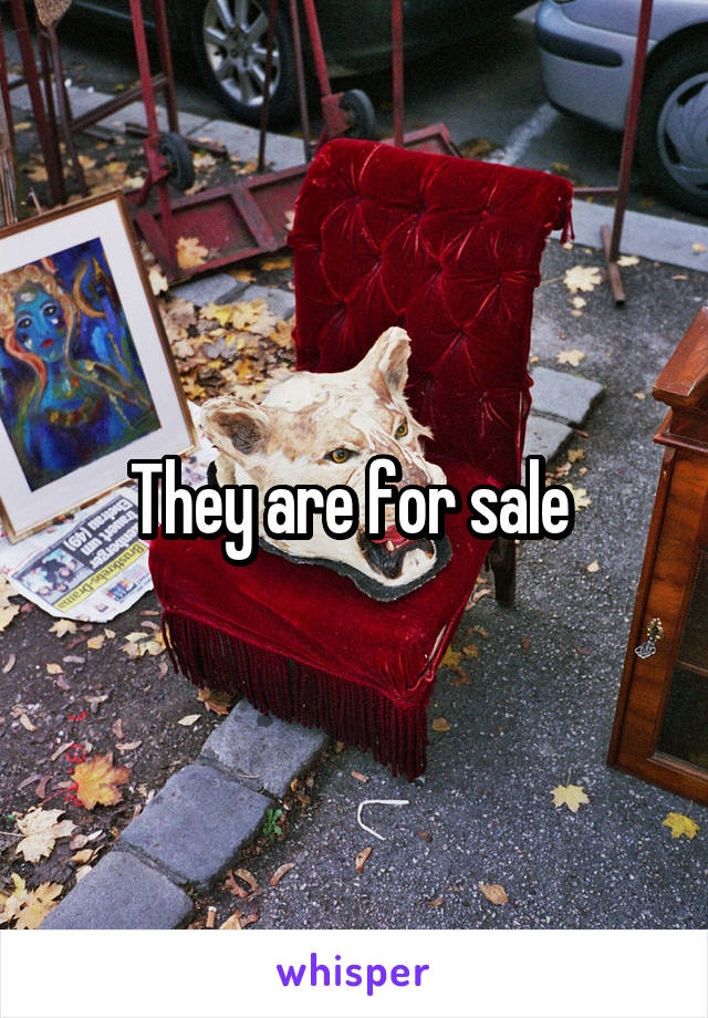 They are for sale 