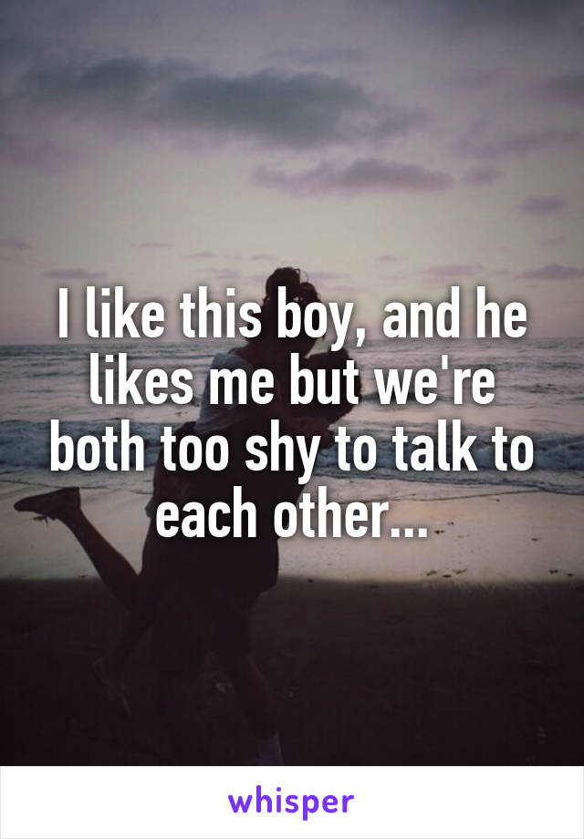 I like this boy, and he likes me but we're both too shy to talk to each other...