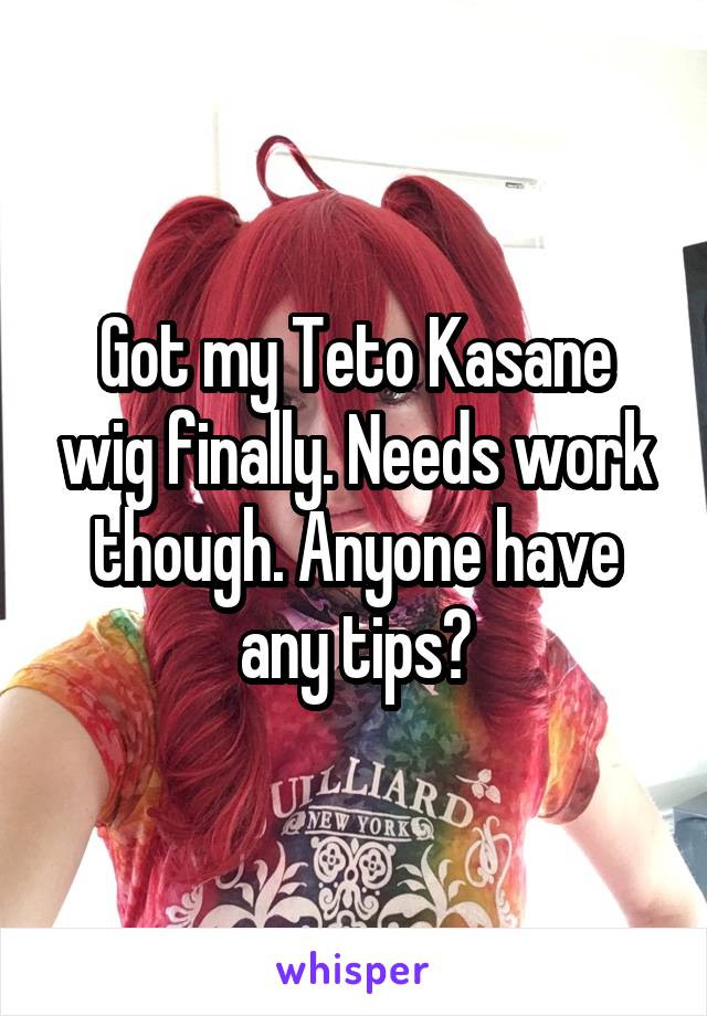 Got my Teto Kasane wig finally. Needs work though. Anyone have any tips?