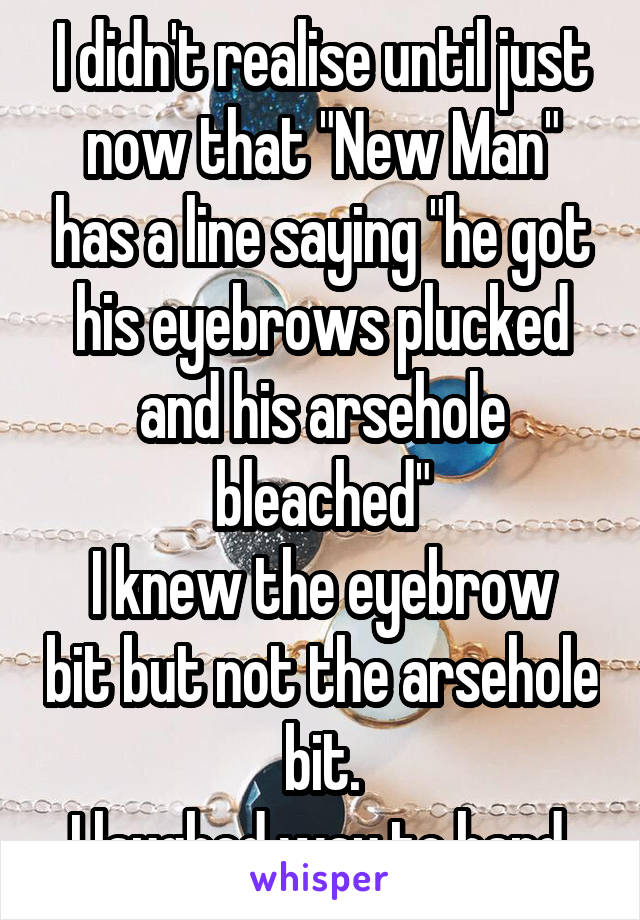 I didn't realise until just now that "New Man" has a line saying "he got his eyebrows plucked and his arsehole bleached"
I knew the eyebrow bit but not the arsehole bit.
I laughed way to hard 