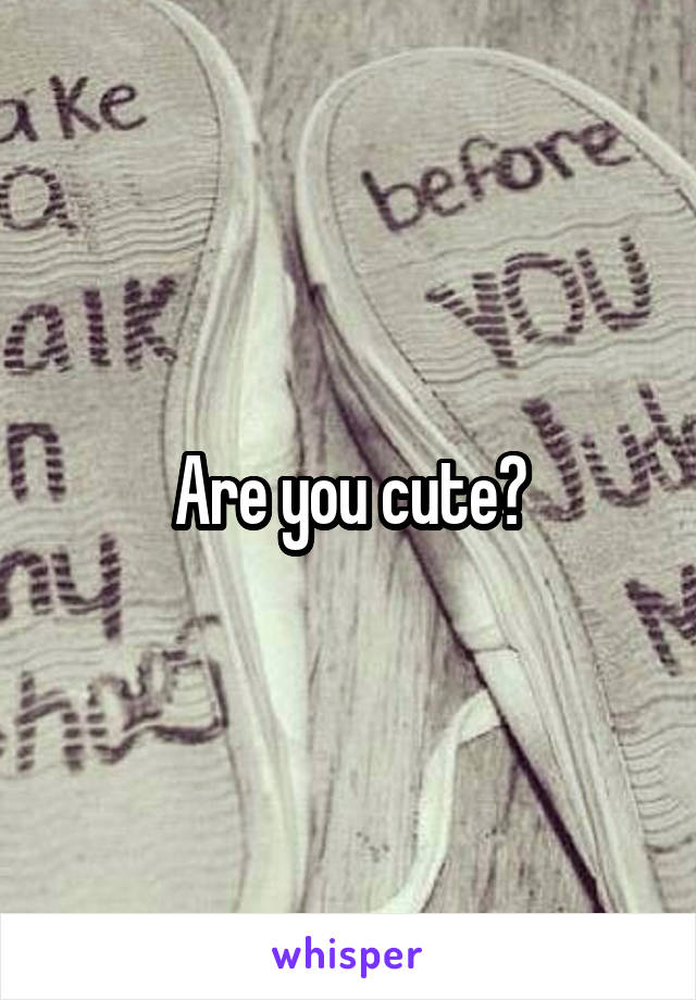 Are you cute?