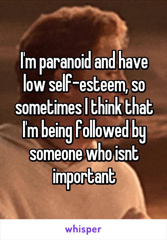 I'm paranoid and have low self-esteem, so sometimes I think that I'm being followed by someone who isnt important