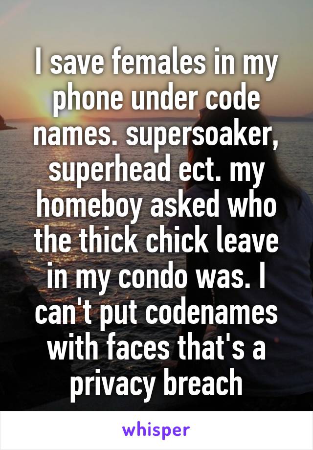 I save females in my phone under code names. supersoaker, superhead ect. my homeboy asked who the thick chick leave in my condo was. I can't put codenames with faces that's a privacy breach