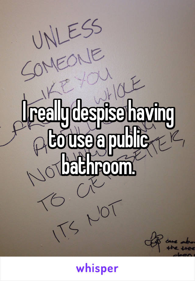 I really despise having to use a public bathroom.