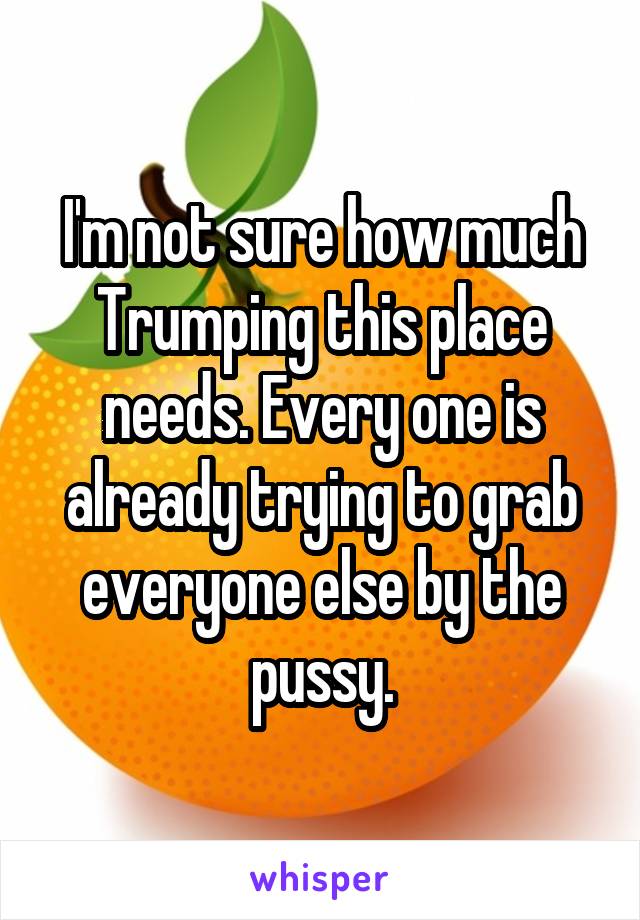 I'm not sure how much Trumping this place needs. Every one is already trying to grab everyone else by the pussy.