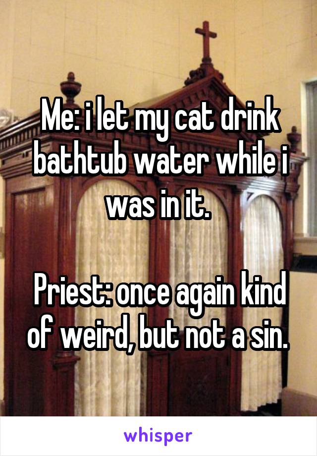 Me: i let my cat drink bathtub water while i was in it. 

Priest: once again kind of weird, but not a sin. 