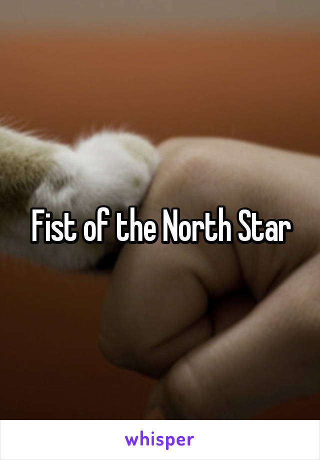 Fist of the North Star