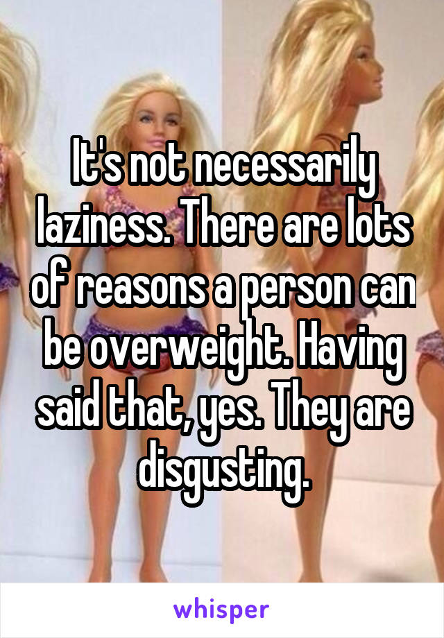 It's not necessarily laziness. There are lots of reasons a person can be overweight. Having said that, yes. They are disgusting.