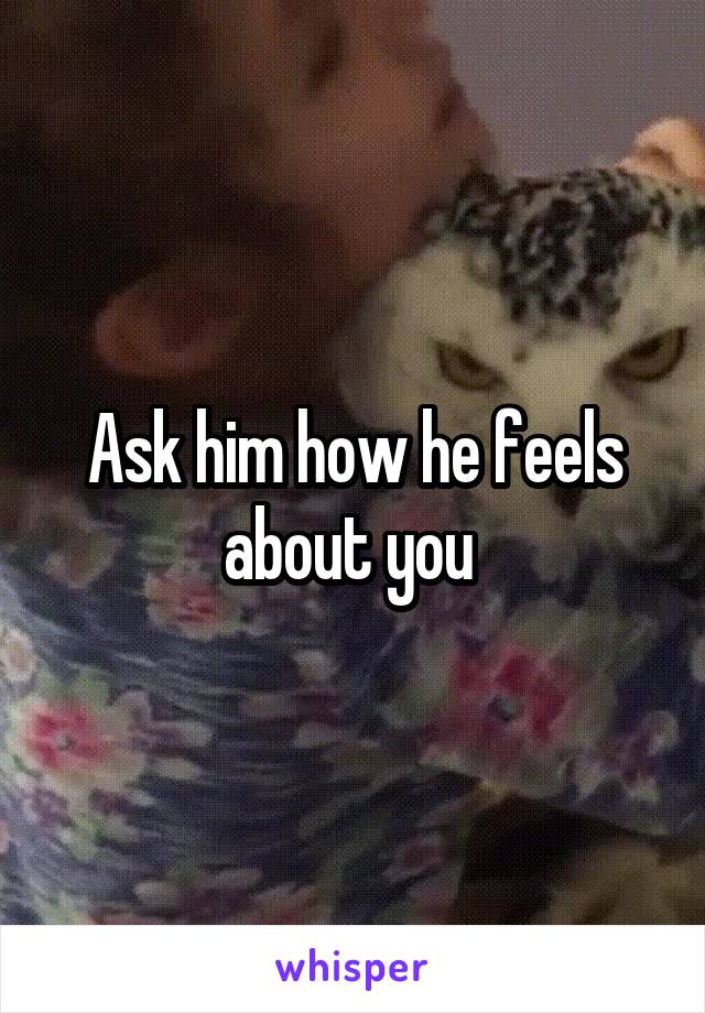 Ask him how he feels about you 