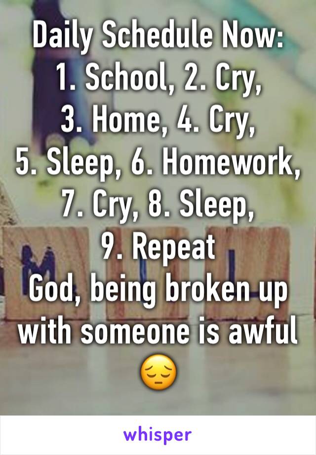 Daily Schedule Now:
1. School, 2. Cry,
3. Home, 4. Cry,
5. Sleep, 6. Homework, 
7. Cry, 8. Sleep,
9. Repeat 
God, being broken up with someone is awful 😔
