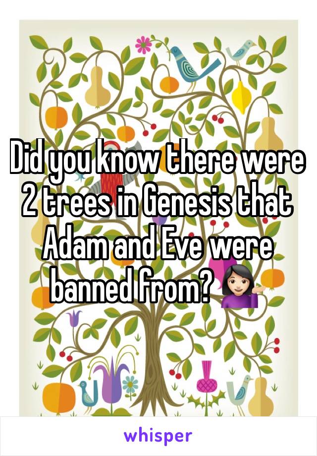 Did you know there were 2 trees in Genesis that Adam and Eve were banned from? 💁🏻