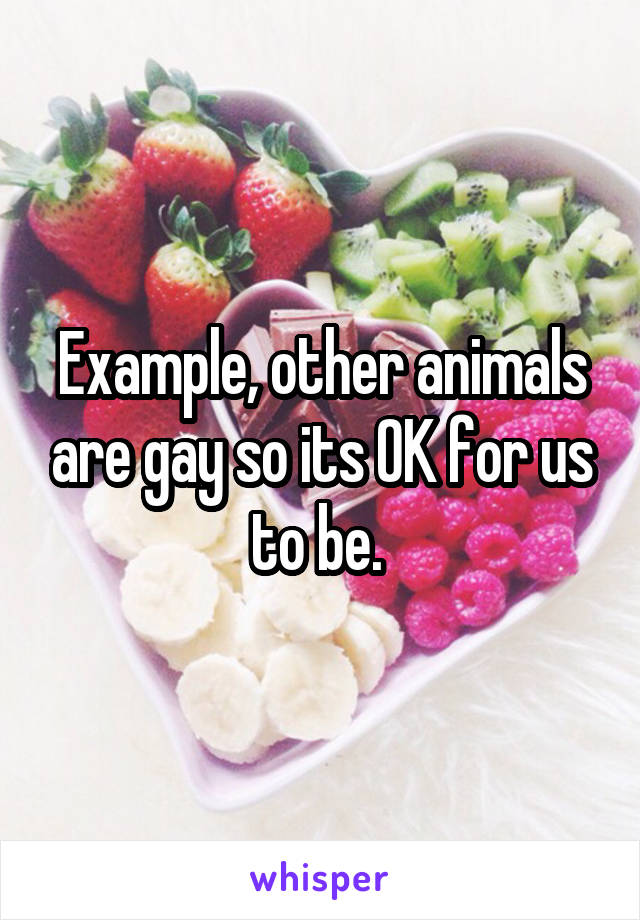 Example, other animals are gay so its OK for us to be. 