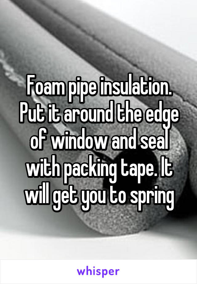 Foam pipe insulation. Put it around the edge of window and seal with packing tape. It will get you to spring