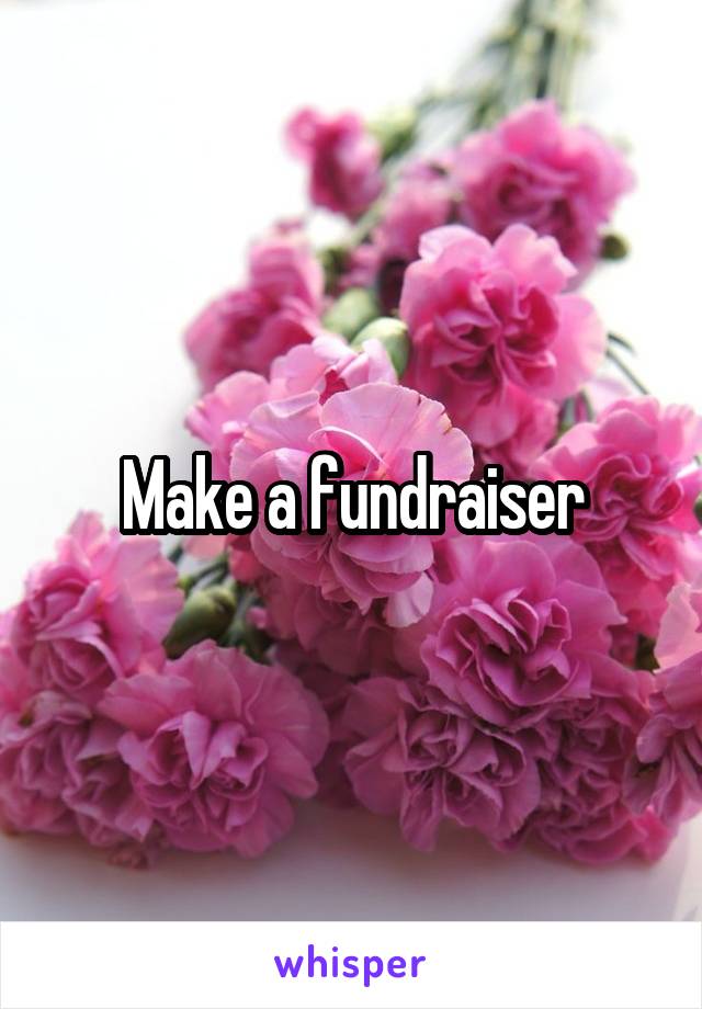 Make a fundraiser