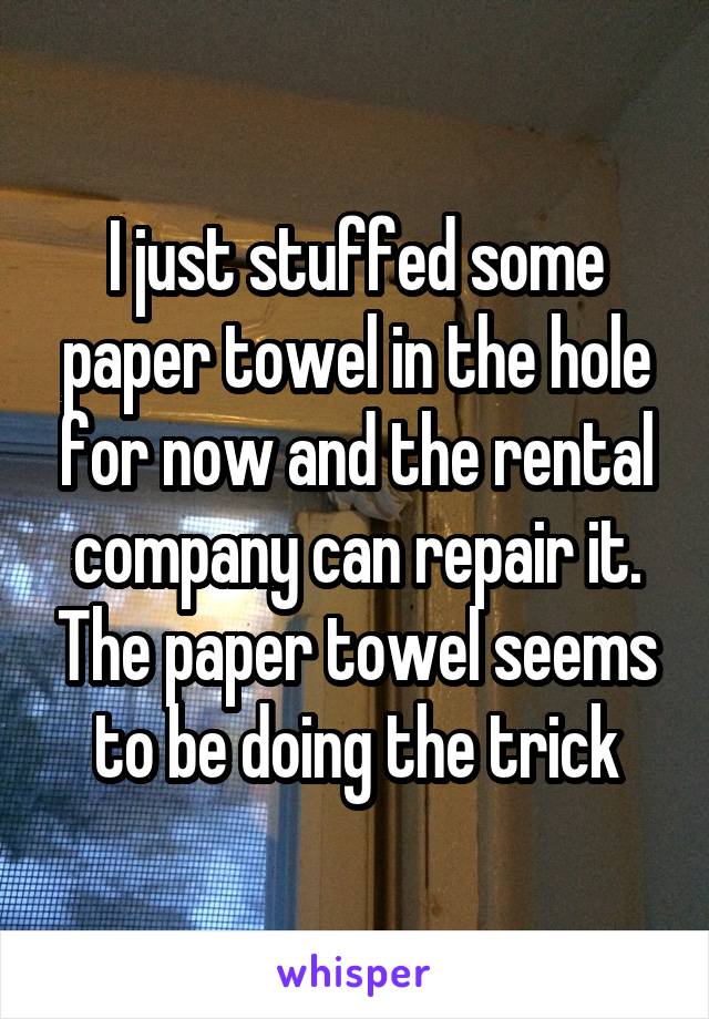 I just stuffed some paper towel in the hole for now and the rental company can repair it. The paper towel seems to be doing the trick