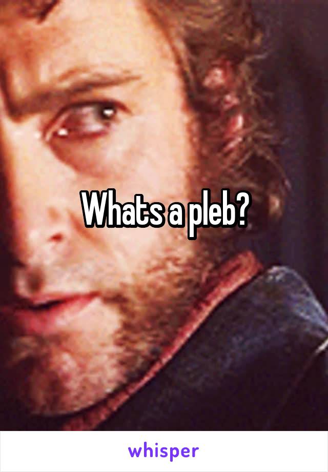 Whats a pleb?
