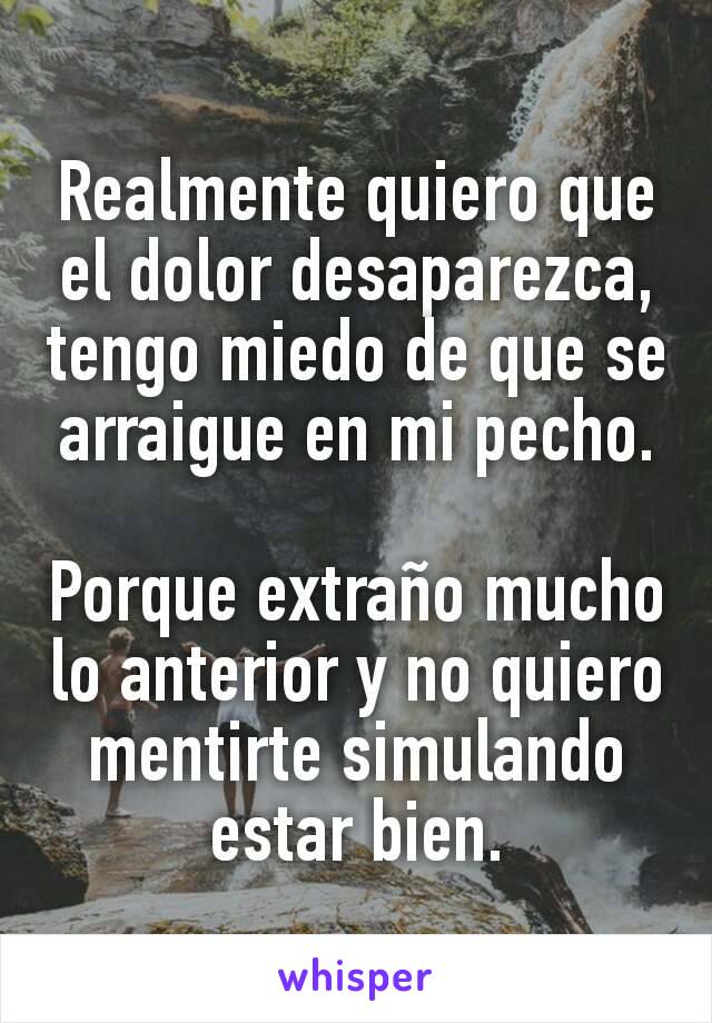 Realmente quiero que el dolor desaparezca, tengo miedo de que se arraigue en mi pecho.

Porque extraño mucho lo anterior y no quiero mentirte simulando estar bien.