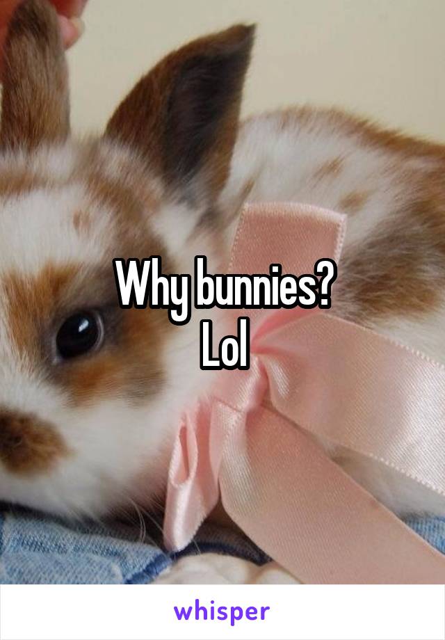 Why bunnies?
Lol