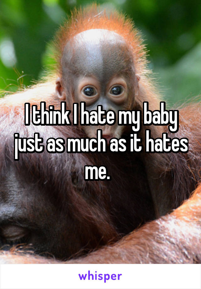 I think I hate my baby just as much as it hates me.  