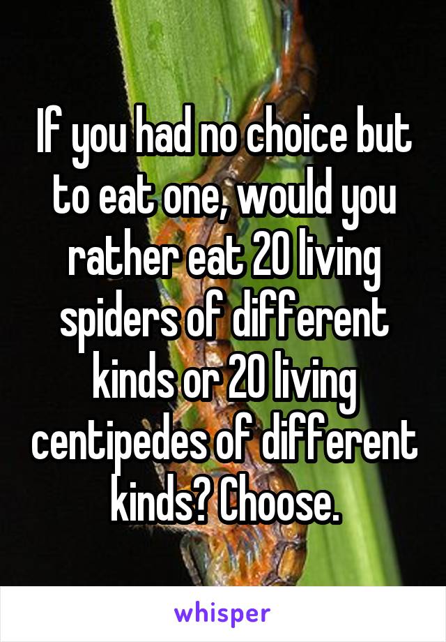 If you had no choice but to eat one, would you rather eat 20 living spiders of different kinds or 20 living centipedes of different kinds? Choose.