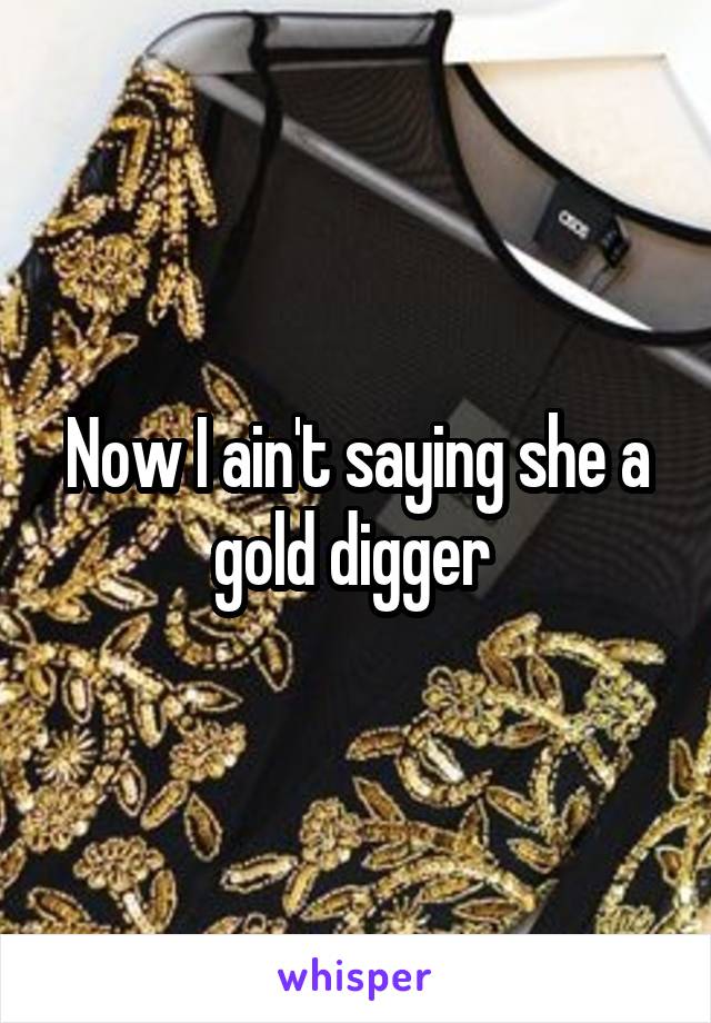 Now I ain't saying she a gold digger 