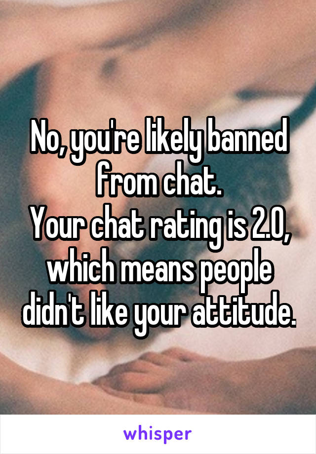 No, you're likely banned from chat.
Your chat rating is 2.0, which means people didn't like your attitude.