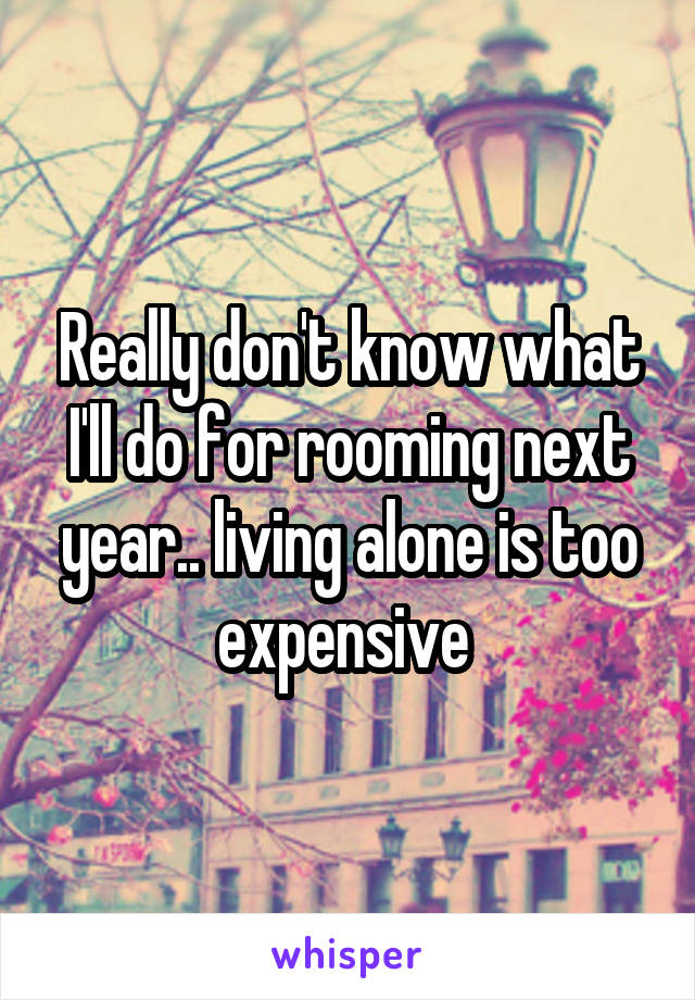 Really don't know what I'll do for rooming next year.. living alone is too expensive 