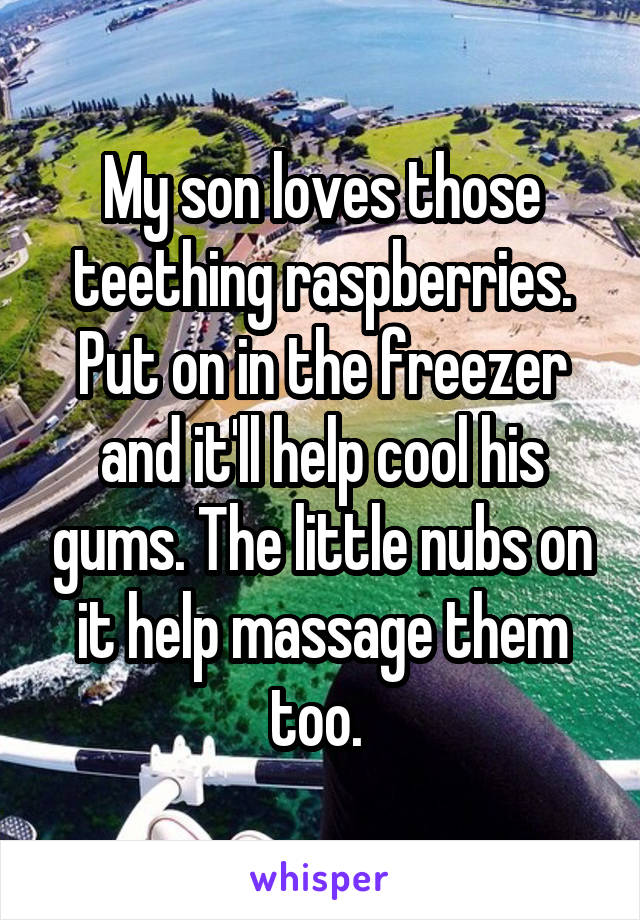 My son loves those teething raspberries. Put on in the freezer and it'll help cool his gums. The little nubs on it help massage them too. 