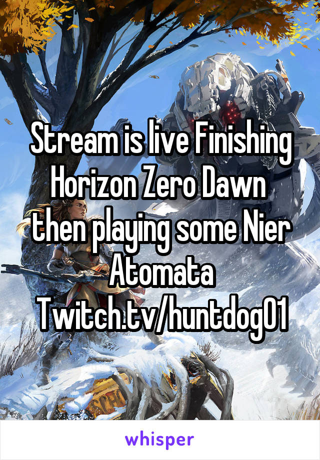 Stream is live Finishing Horizon Zero Dawn  then playing some Nier Atomata
Twitch.tv/huntdog01