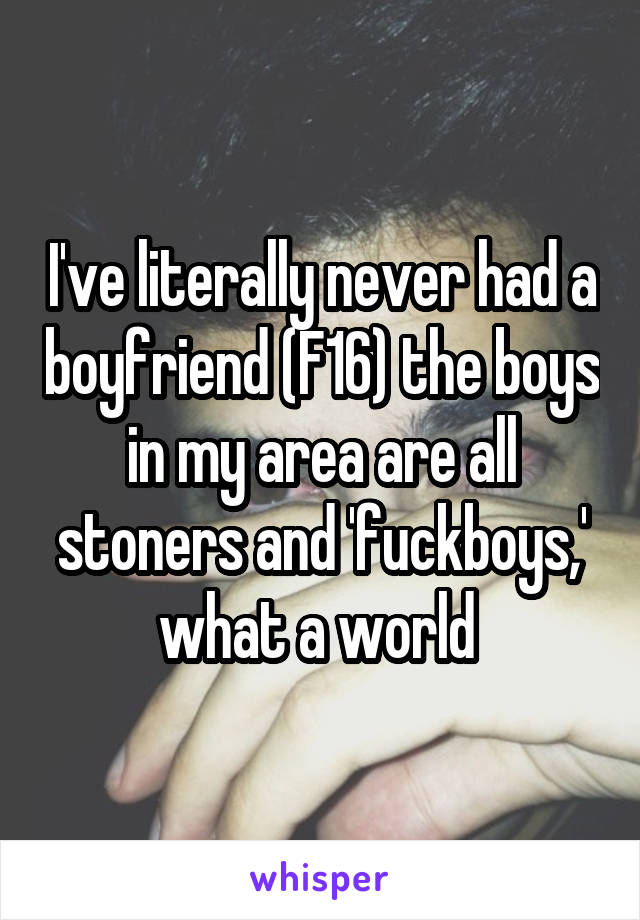 I've literally never had a boyfriend (F16) the boys in my area are all stoners and 'fuckboys,' what a world 