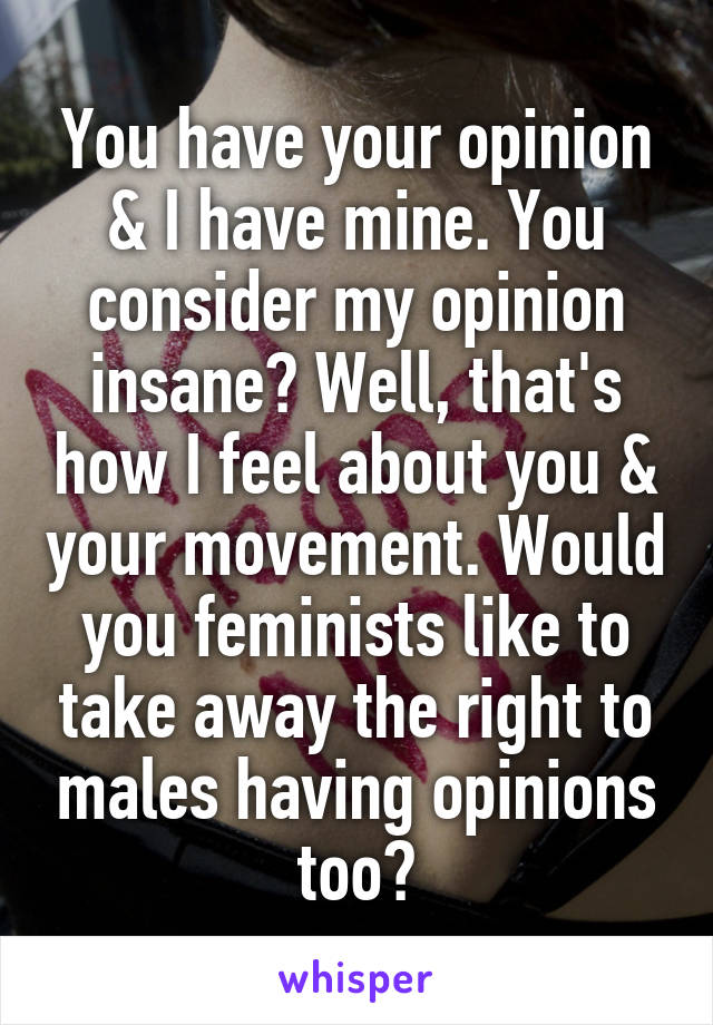 You have your opinion & I have mine. You consider my opinion insane? Well, that's how I feel about you & your movement. Would you feminists like to take away the right to males having opinions too?