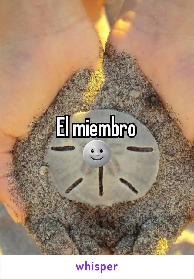 El miembro
🌚