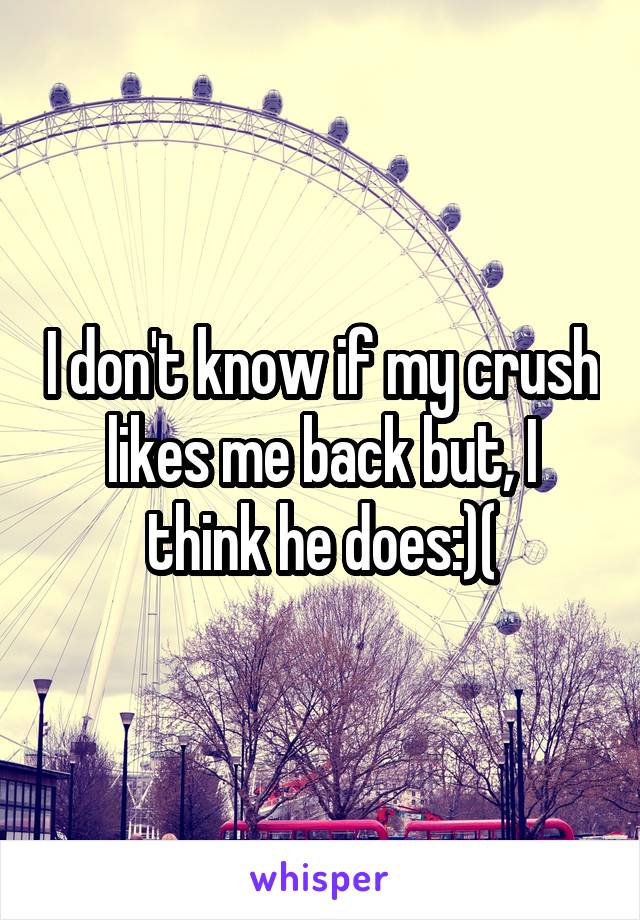 I don't know if my crush likes me back but, I think he does:)(