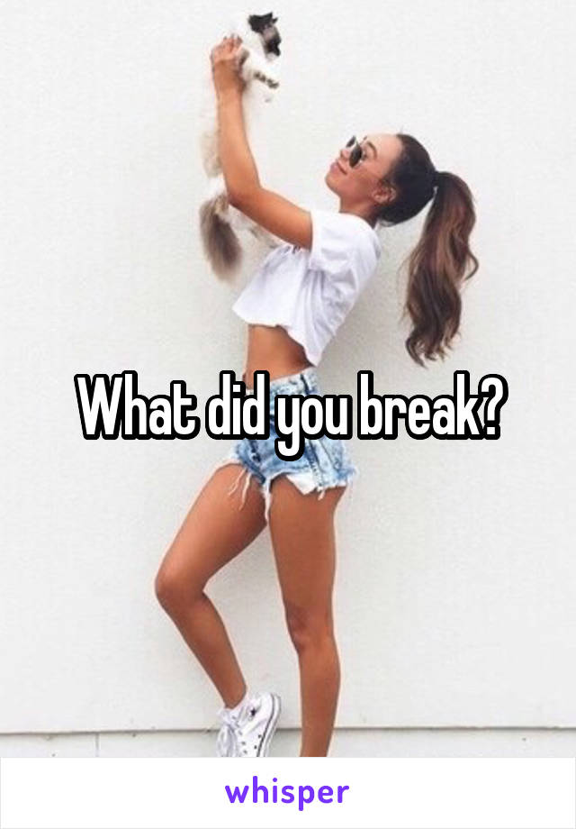 What did you break?