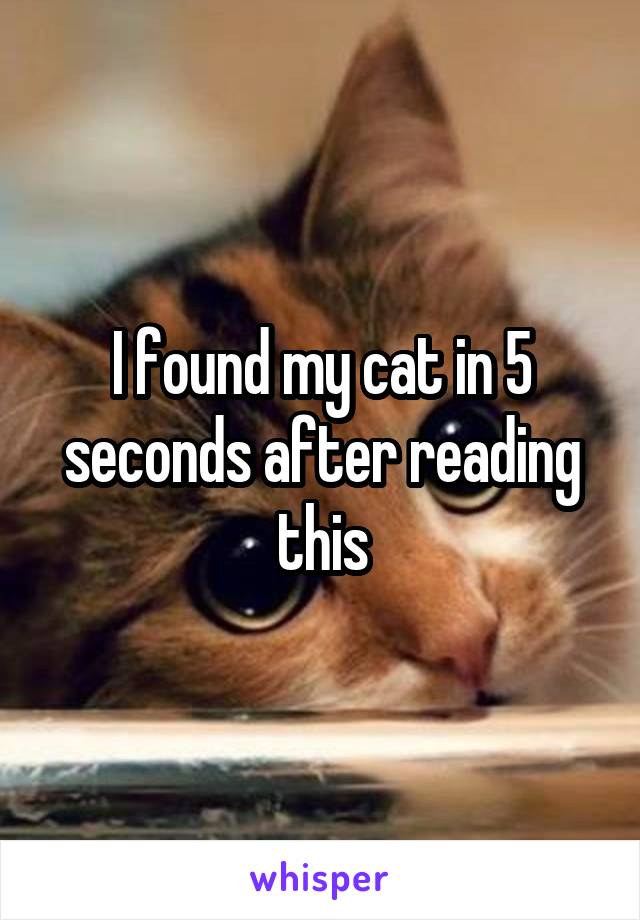 I found my cat in 5 seconds after reading this