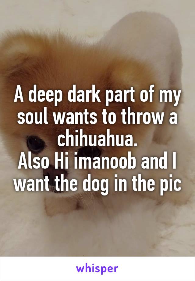 A deep dark part of my soul wants to throw a chihuahua.
Also Hi imanoob and I want the dog in the pic