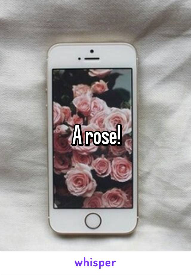 A rose!