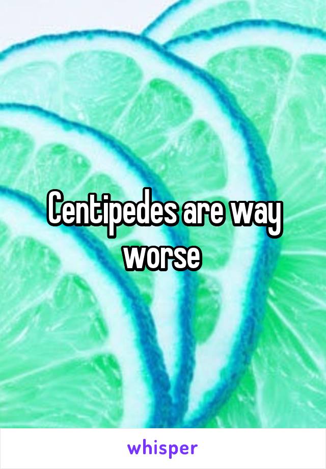 Centipedes are way worse 