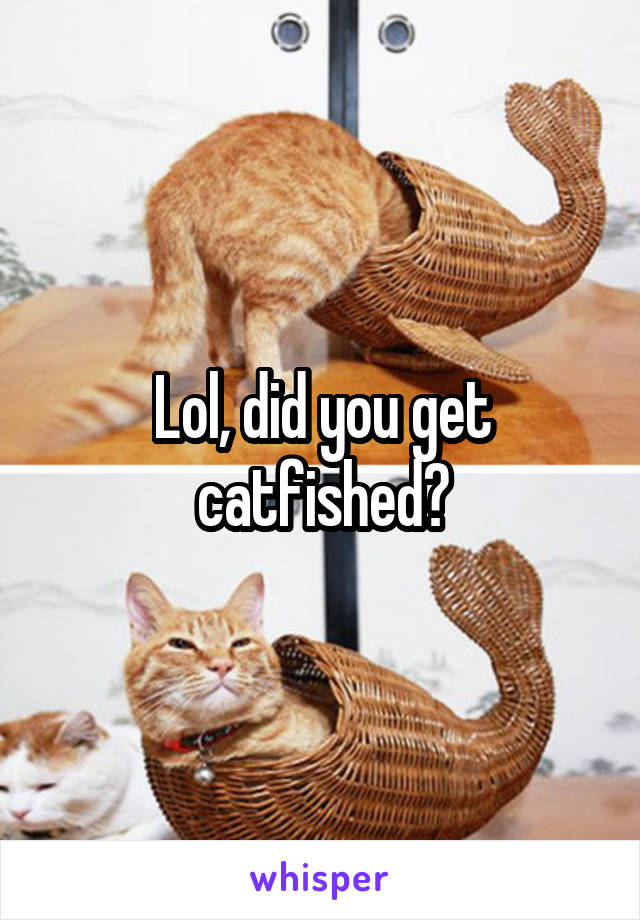 Lol, did you get catfished?