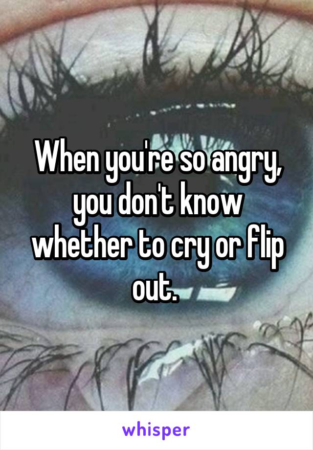 When you're so angry, you don't know whether to cry or flip out. 