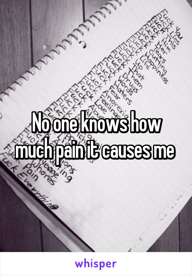 No one knows how much pain it causes me 