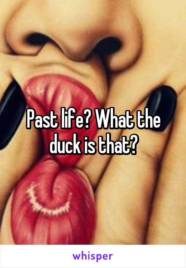 Past life? What the duck is that?