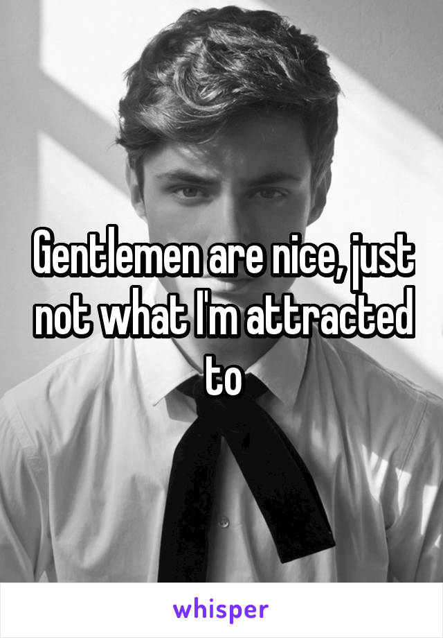 Gentlemen are nice, just not what I'm attracted to