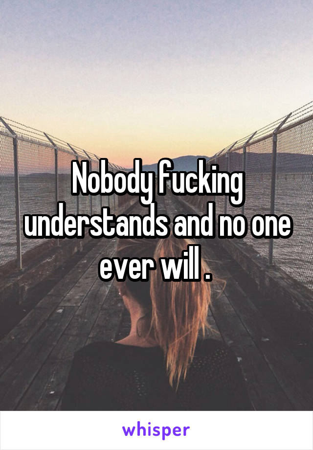 Nobody fucking understands and no one ever will . 