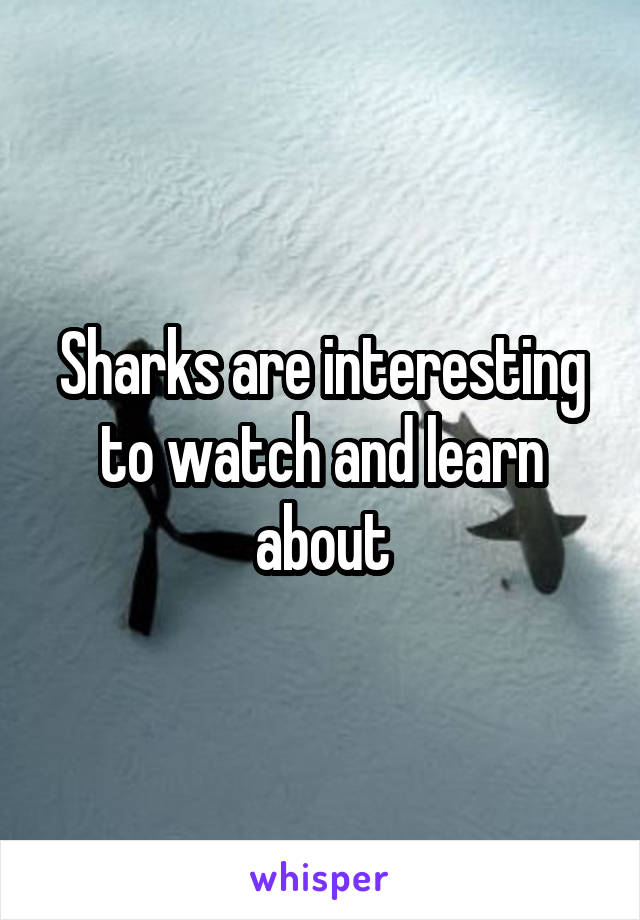 Sharks are interesting to watch and learn about