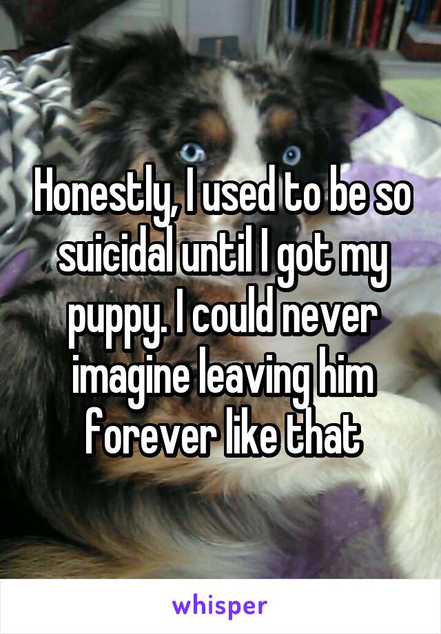 Honestly, I used to be so suicidal until I got my puppy. I could never imagine leaving him forever like that